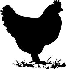 Stantway Chicken