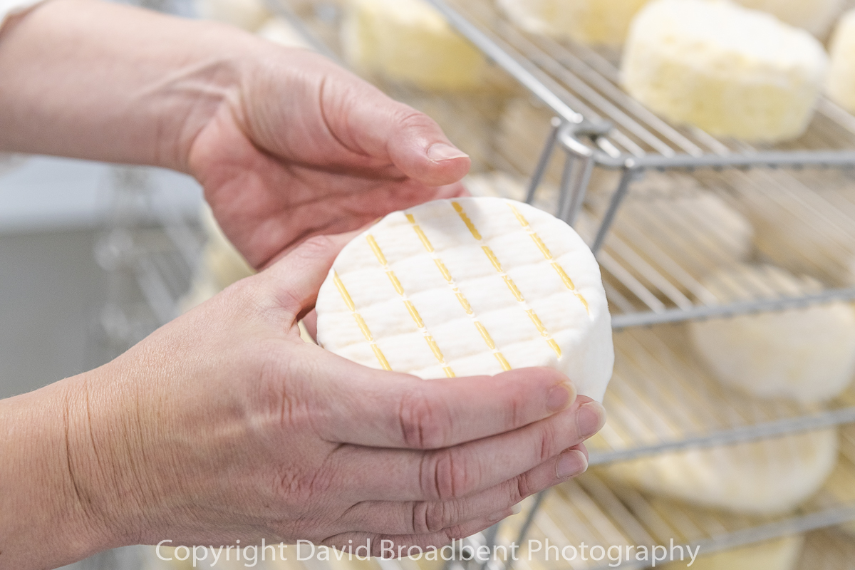 Brooke's Wye Valley Dairy, David Broadbent Photography, Wales, Welsh, Monmouthshire, cheese, soft cheese, Angiddy, artisan, Jersey, cow, milk, 
